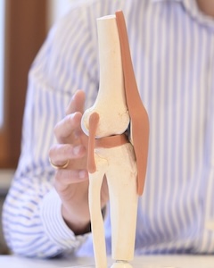 Modell eines Kniegelenks